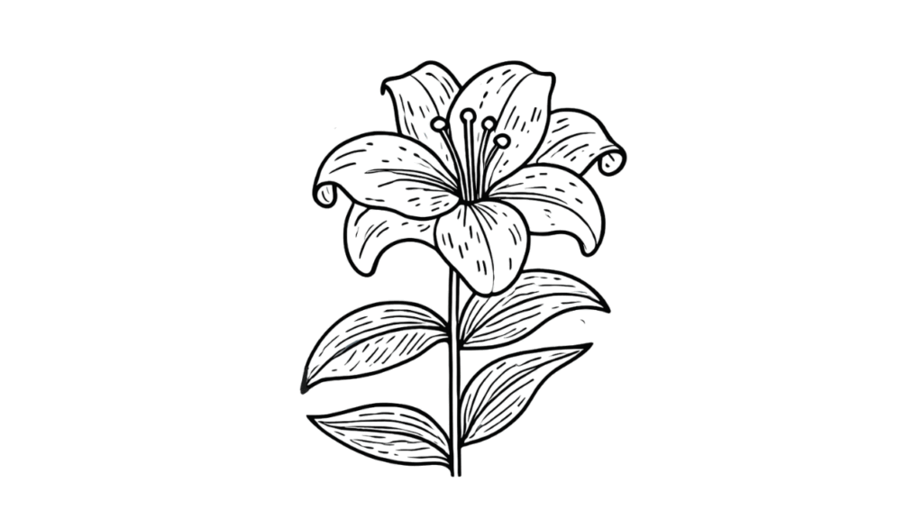 「百合の花」の塗り絵