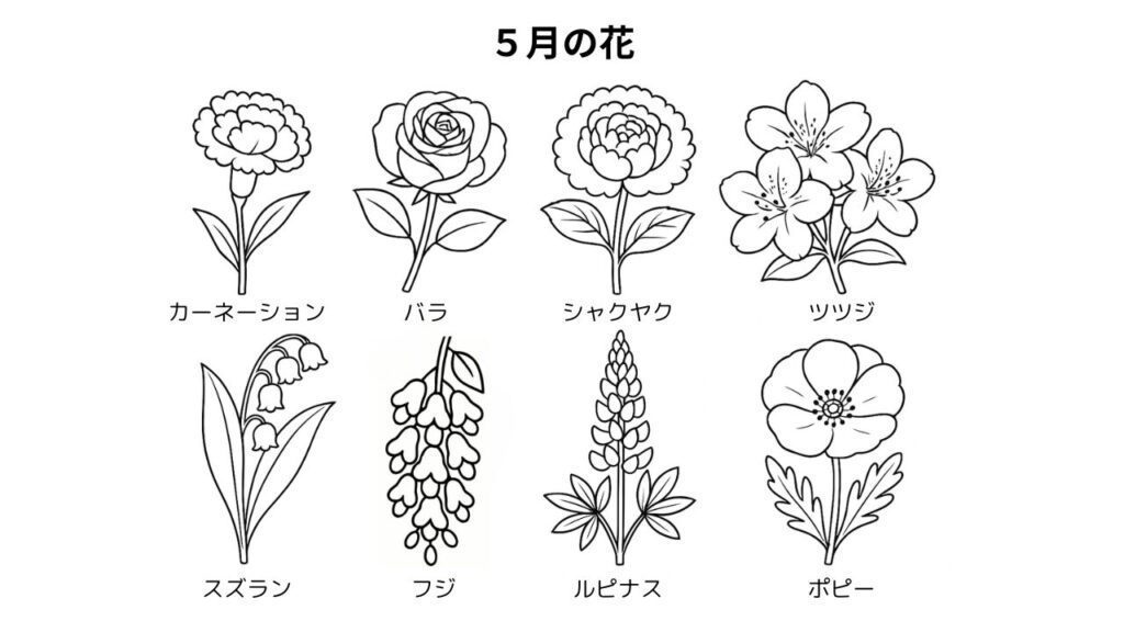 5月の花 塗り絵｜初夏を彩る8つの花たち