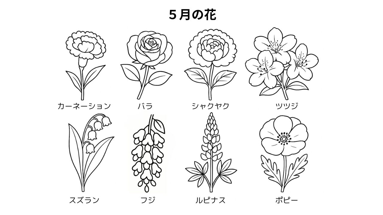 5月の花 塗り絵｜初夏を彩る8つの花たち