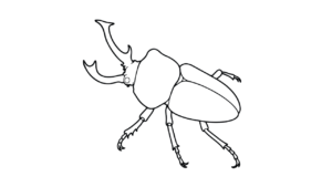 ニジイロクワガタ 塗り絵 無料ダウンロード｜かっこいい昆虫ぬりえ