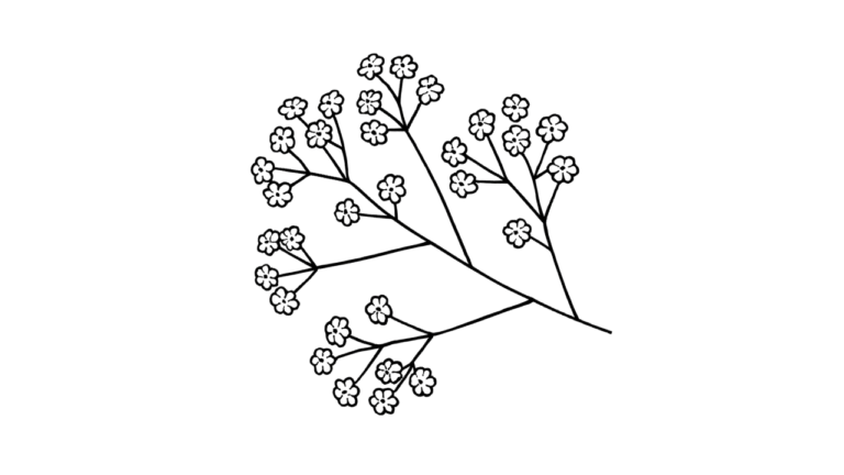 かすみそう(霞草)の塗り絵イラスト 白黒(無料・印刷用)