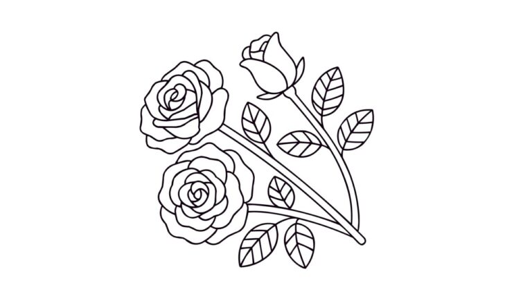 3輪のバラの塗り絵イラスト