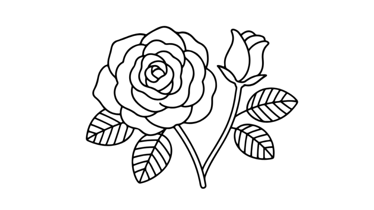 ふんわり咲いたバラの塗り絵イラスト