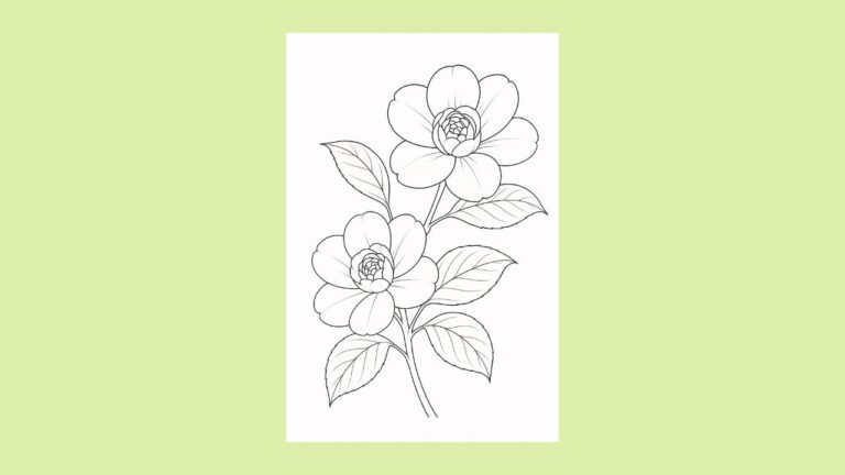 大きな椿の花の塗り絵イラスト