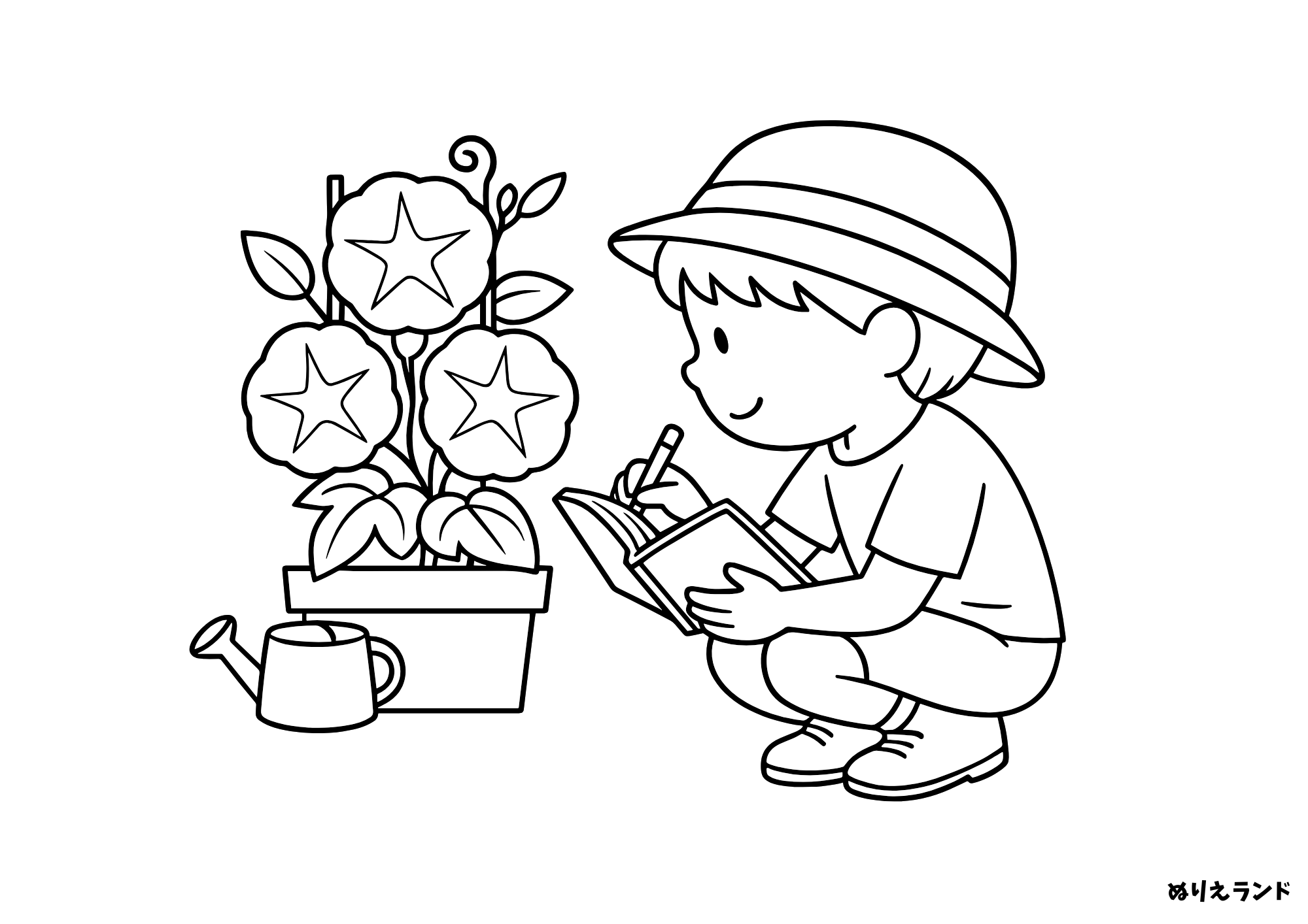 朝顔ぬりえ|子ども向け簡単素材|観察日記に使える無料ダウンロード