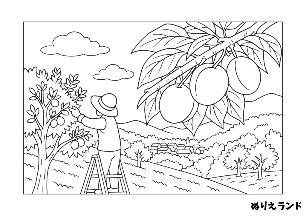 高齢者 塗り絵｜梅の実がなる里山【見本付き・無料ダウンロード】