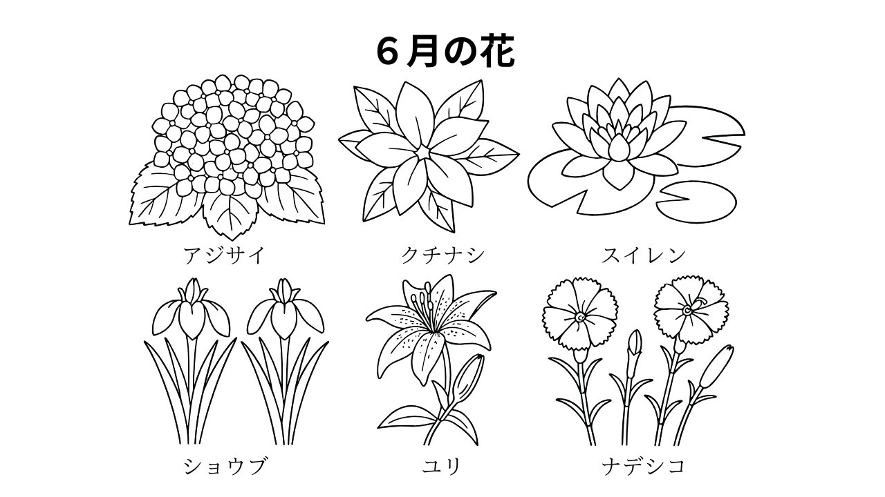 6月の花の塗り絵｜紫陽花やユリなど季節を感じる簡単ぬりえ