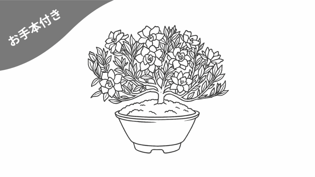 クチナシ盆栽の無料塗り絵｜高齢者も安心して楽しめる太線構成。色鉛筆で塗った見本付き。季節感と趣きのある素材です。