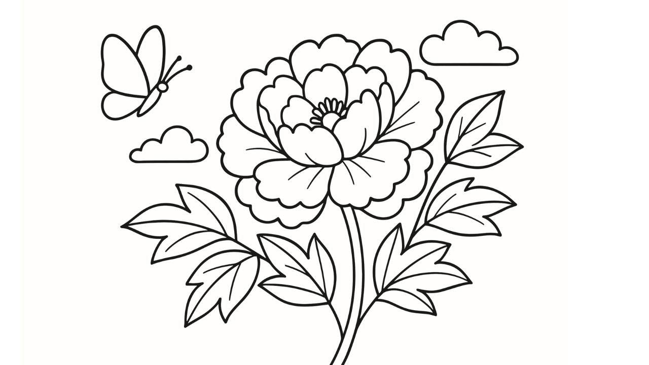 牡丹の花と蝶の塗り絵|高齢者向け 無料ダウンロード