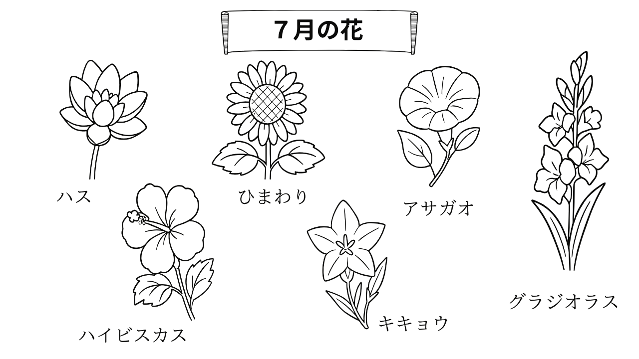 7月の花を楽しむ塗り絵｜無料ダウンロードOK！高齢者向け
