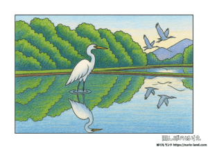 初夏の5月・6月、水が張られた田んぼに立つ白鷺を描いた高齢者向けぬりえの線画イメージ。
