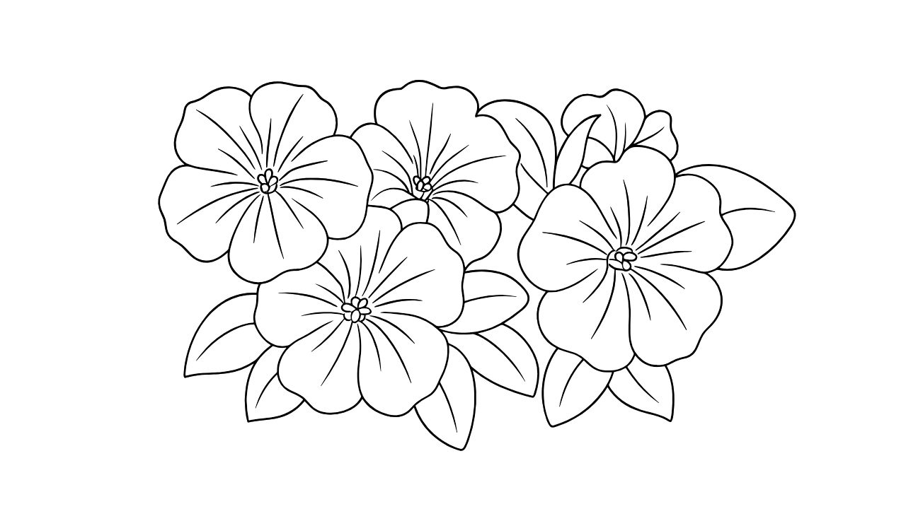 高齢者向けぬりえ｜やさしく咲くペチュニアの花を塗ろう【無料】