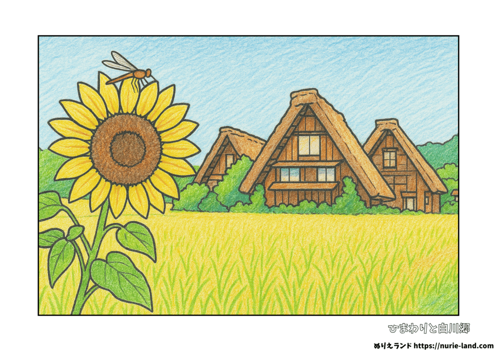 高齢者向け無料ぬりえ｜7月・8月の花と風景｜白川郷と向日葵
