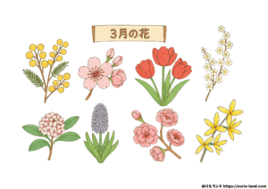 3月の花 塗り絵｜高齢者向け冬〜春の無料プリント素材【ダウンロードOK】