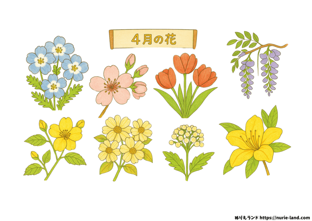 ４月の花 塗り絵プリント｜高齢者向け無料ダウンロード素材（見本付き）
