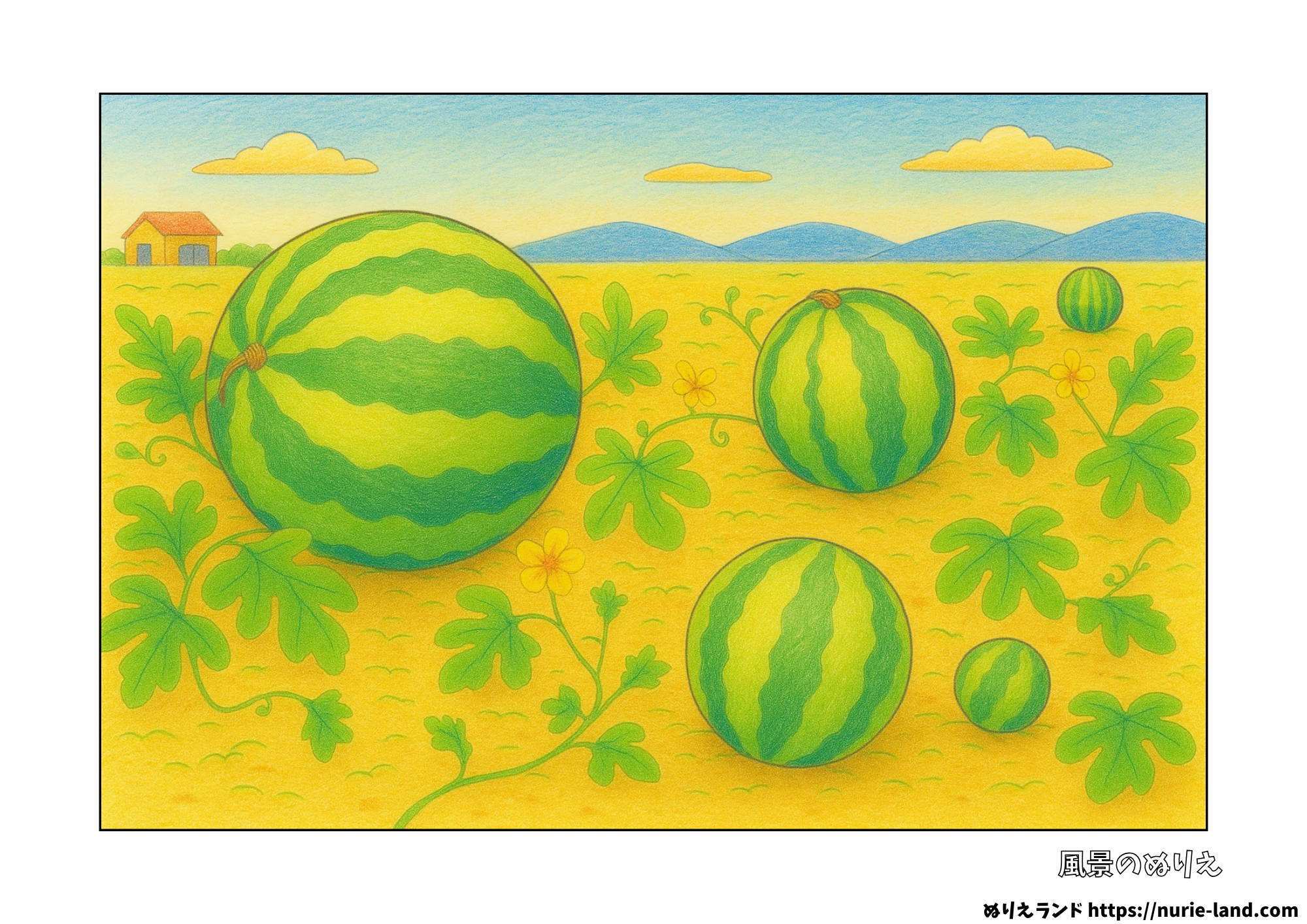 スイカ畑の風景塗り絵|高齢者向けリアル構図が無料ダウンロード&プリントOK