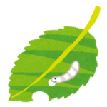 虫食い塗り絵のカテゴリーへ
