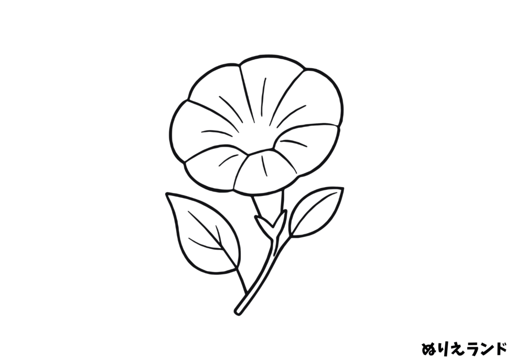 無料ダウンロード｜朝顔の塗り絵とちぎり絵素材｜7月の花に最適