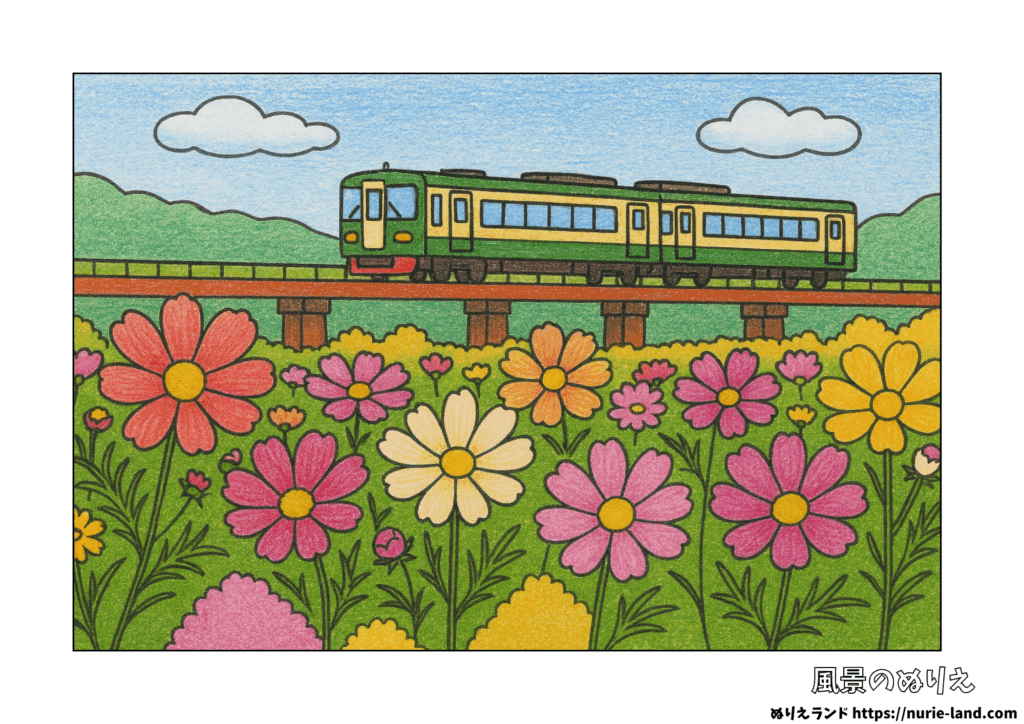 高齢者向け塗り絵素材｜色鉛筆で塗られたコスモス畑と鉄橋を走る電車の秋風景。9月におすすめの無料ダウンロード用ぬりえ