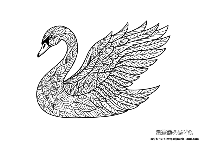 白鳥のゼンタングルの塗り絵イラスト