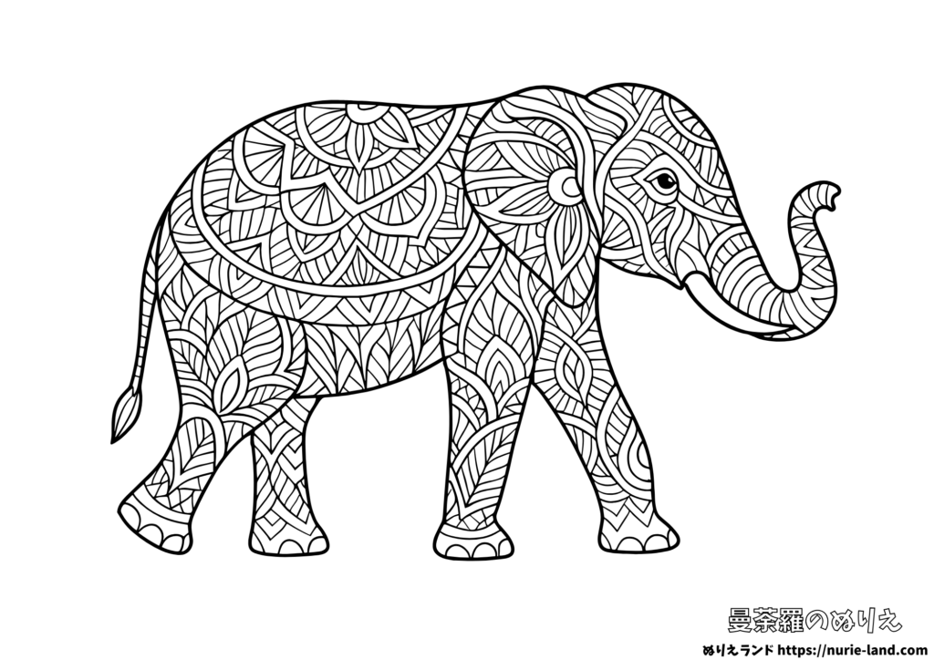 ゾウの曼荼羅塗り絵｜優雅で神秘的な動物を彩る｜大人向け無料ダウンロード