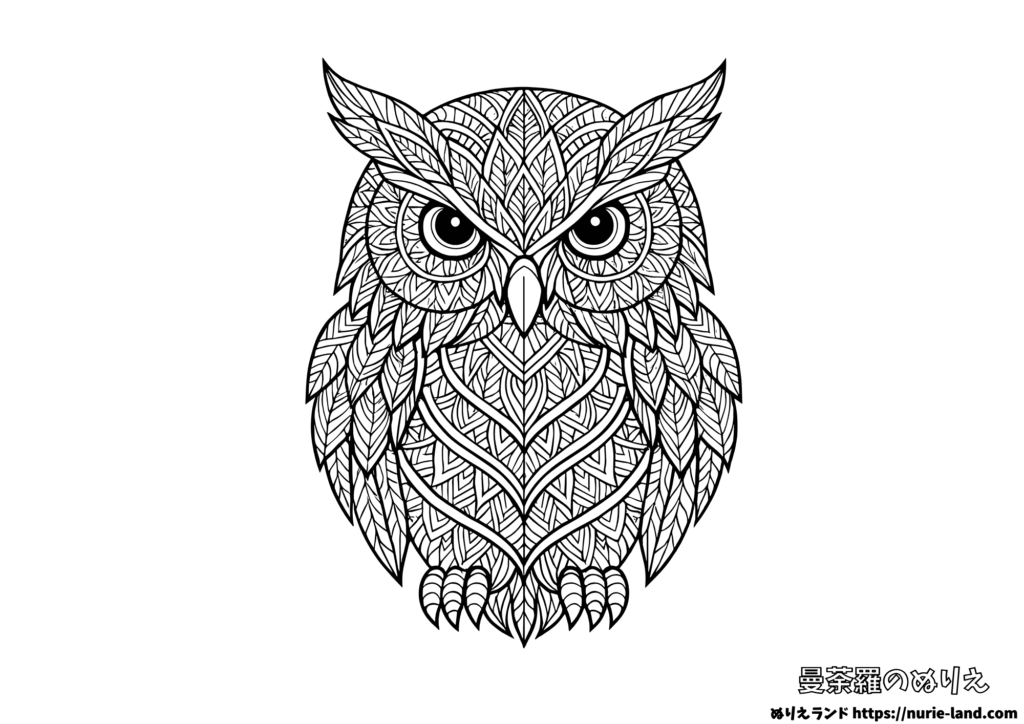 フクロウの曼荼羅塗り絵｜神秘と知性を描く｜大人向けかっこいい無料ダウンロード
