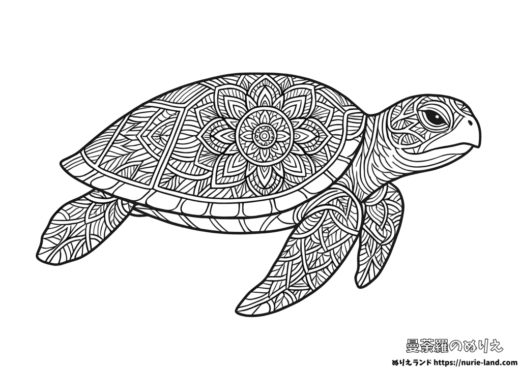 ウミガメの曼荼羅塗り絵｜甲羅模様を美しく描く｜大人向け無料ダウンロード