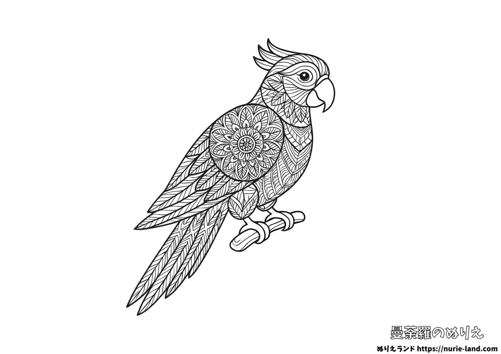 オウムの曼荼羅塗り絵｜羽ばたく熱帯の鳥を華やかに｜大人向け無料ダウンロード