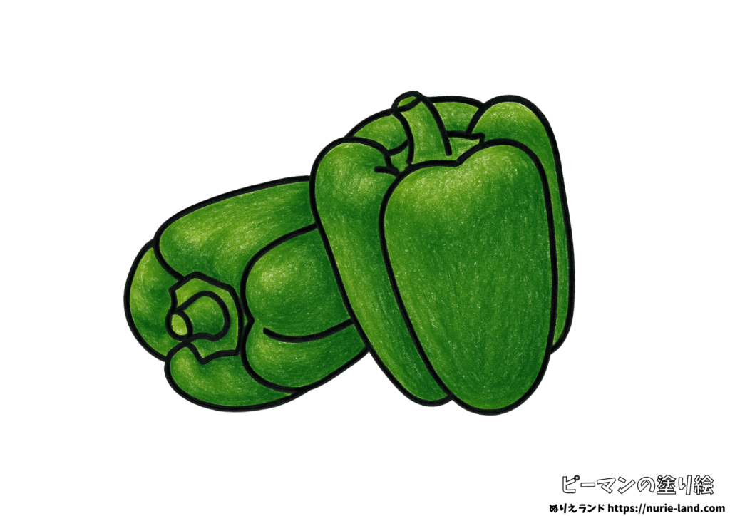 ピーマンの塗り絵｜夏野菜を簡単に塗ろう｜高齢者向け見本付き無料ダウンロード