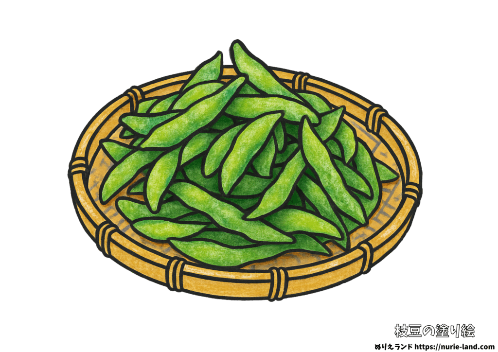 枝豆の塗り絵｜夏の旬野菜を丁寧に彩ろう｜高齢者向け見本付き無料ダウンロード