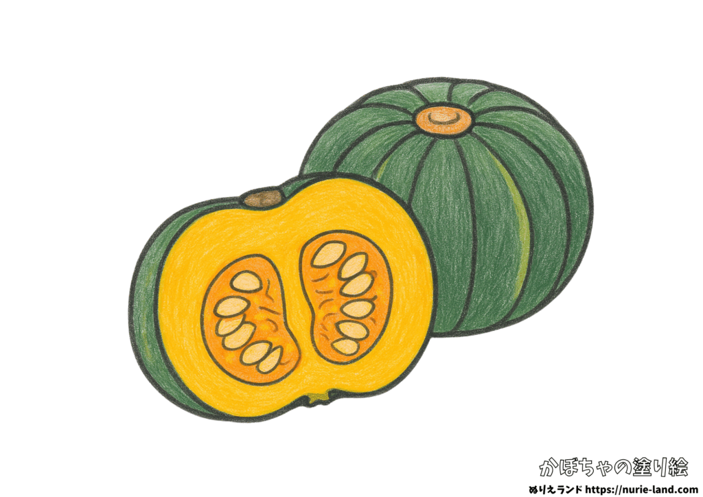 かぼちゃの塗り絵｜夏野菜の断面も塗れる｜高齢者向け見本付き無料ダウンロード