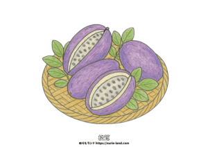 アケビの塗り絵｜秋の味覚をかご盛りで描いた高齢者向け無料ダウンロード素材｜シンプルで塗りやすいデザイン