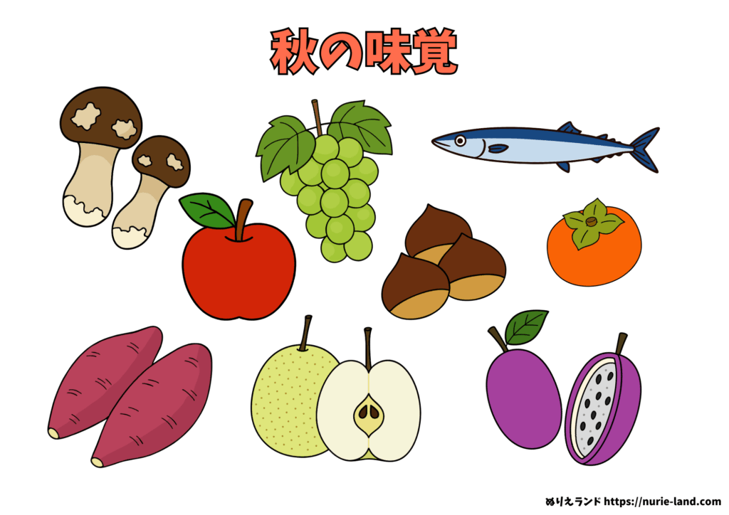 秋の味覚ぬりえ｜無料ダウンロード素材｜ぶどう・栗・さつまいもなど秋の果物と野菜を塗れる高齢者向けぬりえ