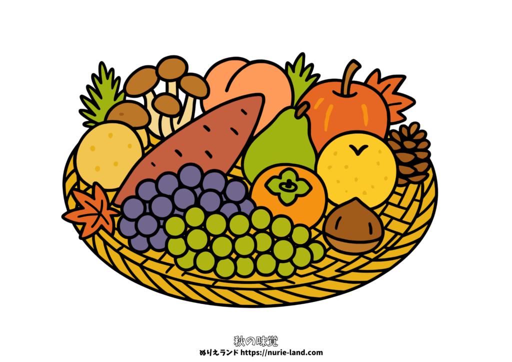 秋の収穫かごのぬりえ｜秋の味覚（さつまいも・柿・ぶどう・栗）を描いた高齢者向け無料素材｜9月10月11月に最適、見本付き
