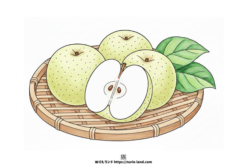 高齢者向け秋の塗り絵｜無料ダウンロードできる梨と竹ざるの線画イラスト素材