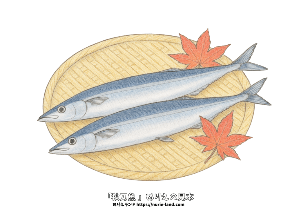 秋刀魚の無料ぬりえ｜高齢者向け｜9月の秋の味覚を楽しめる和食モチーフ｜色鉛筆見本付き
