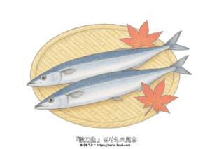 秋刀魚の無料ぬりえ｜高齢者向け｜9月の秋の味覚を楽しめる和食モチーフ｜色鉛筆見本付き