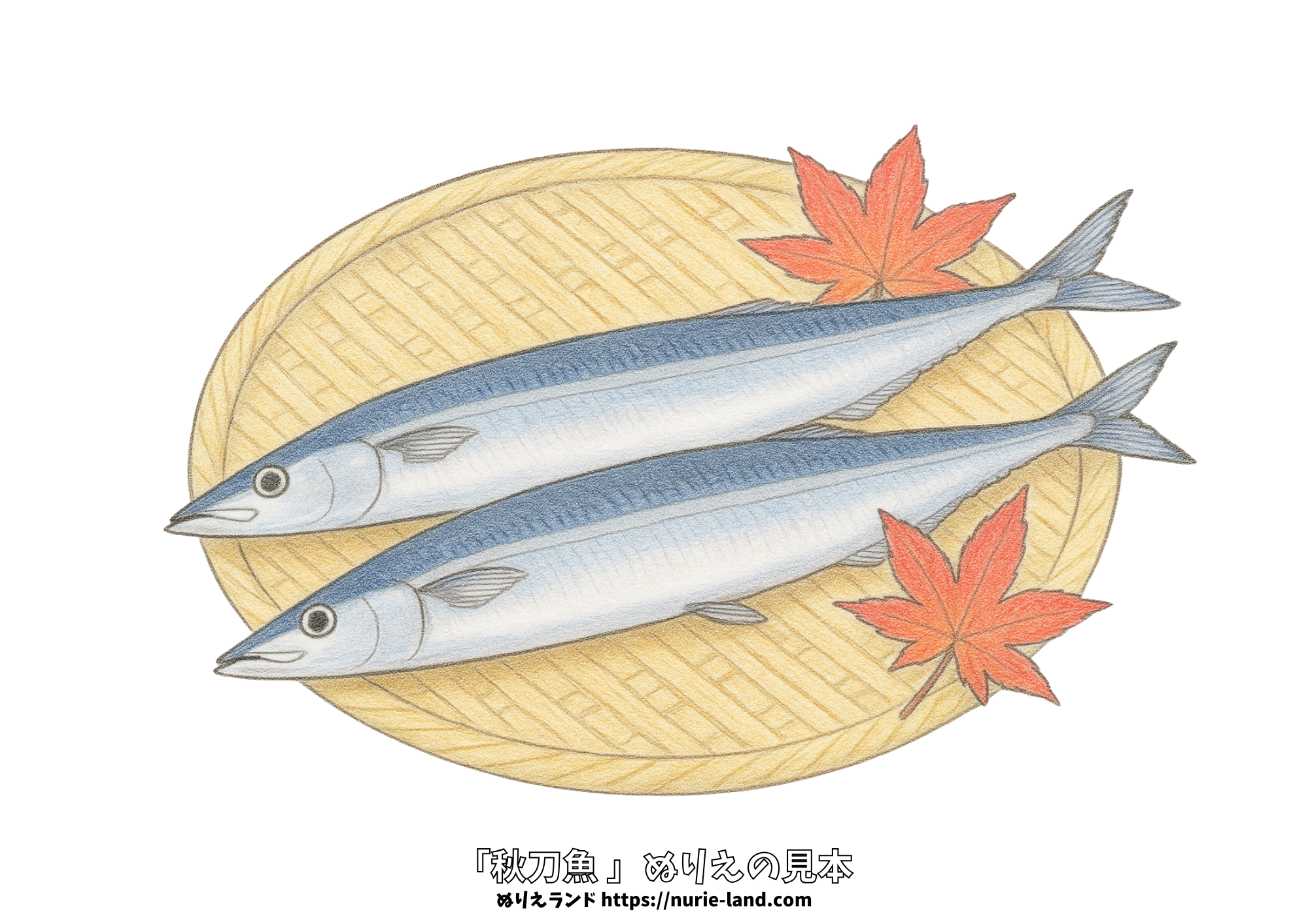 秋刀魚の無料ぬりえ｜高齢者向け｜9月の秋の味覚を楽しめる和食モチーフ｜色鉛筆見本付き
