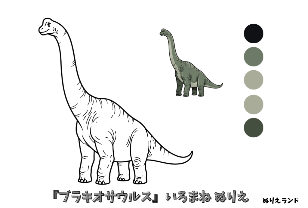 ブラキオサウルスの塗り絵｜幼児向け｜優しい恐竜｜簡単でかわいい無料ダウンロード