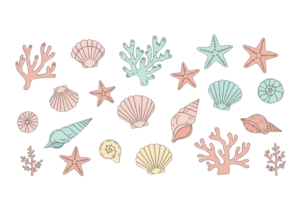 貝殻の無料ぬりえイラスト｜高齢者向け｜塗りやすい・懐かしい｜夏の海シリーズ｜ダウンロード