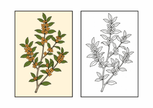 金木犀の塗り絵｜秋の花シリーズ｜高齢者・幼児向け｜太線で塗りやすい無料ダウンロード