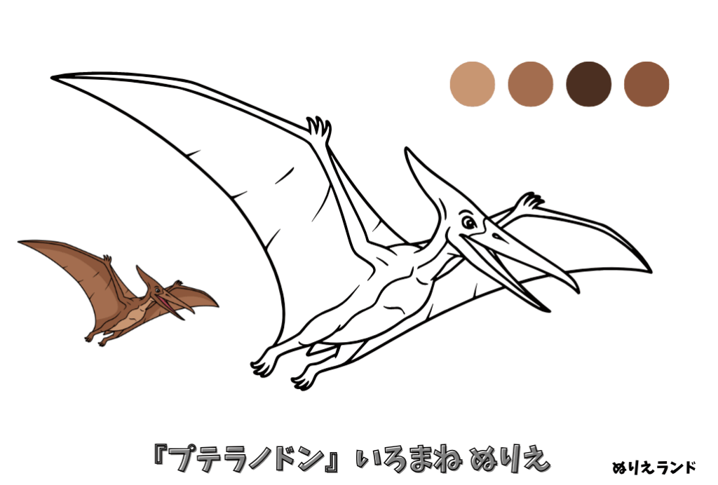プテラノドンの塗り絵｜幼児向け｜空を飛ぶ恐竜｜かっこいい無料ダウンロード