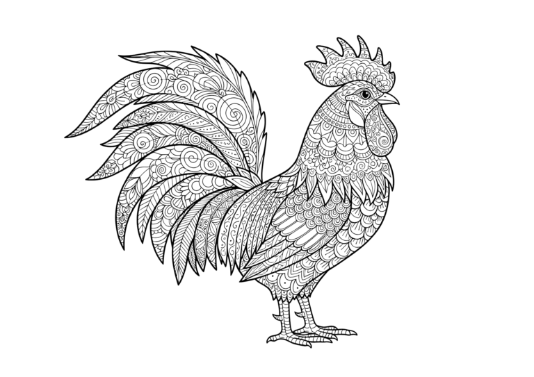 大人向け鶏の塗り絵イラスト