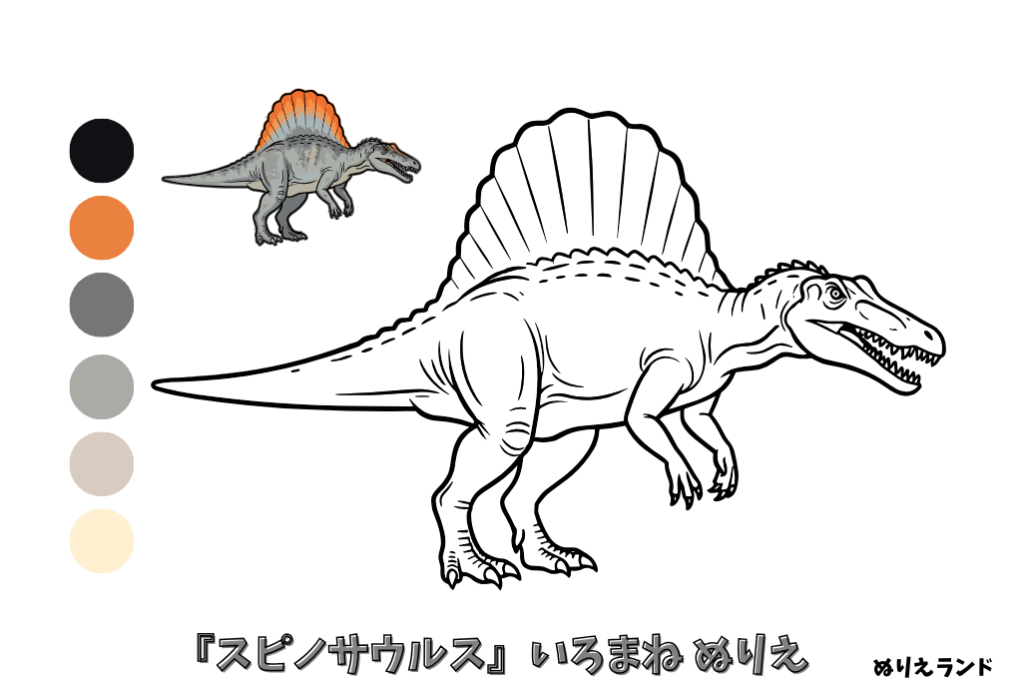 スピノサウルスの塗り絵｜幼児向け｜恐竜好きに人気｜かっこいい無料ダウンロード素材