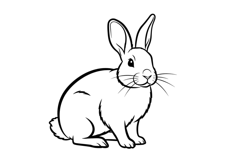 Simple realistic rabbit coloring page - colored sample, free download