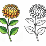 秋の花の塗り絵