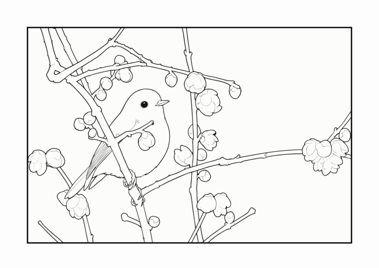 Red-flanked bluetail and wintersweet coloring page - black and white, free download, printable