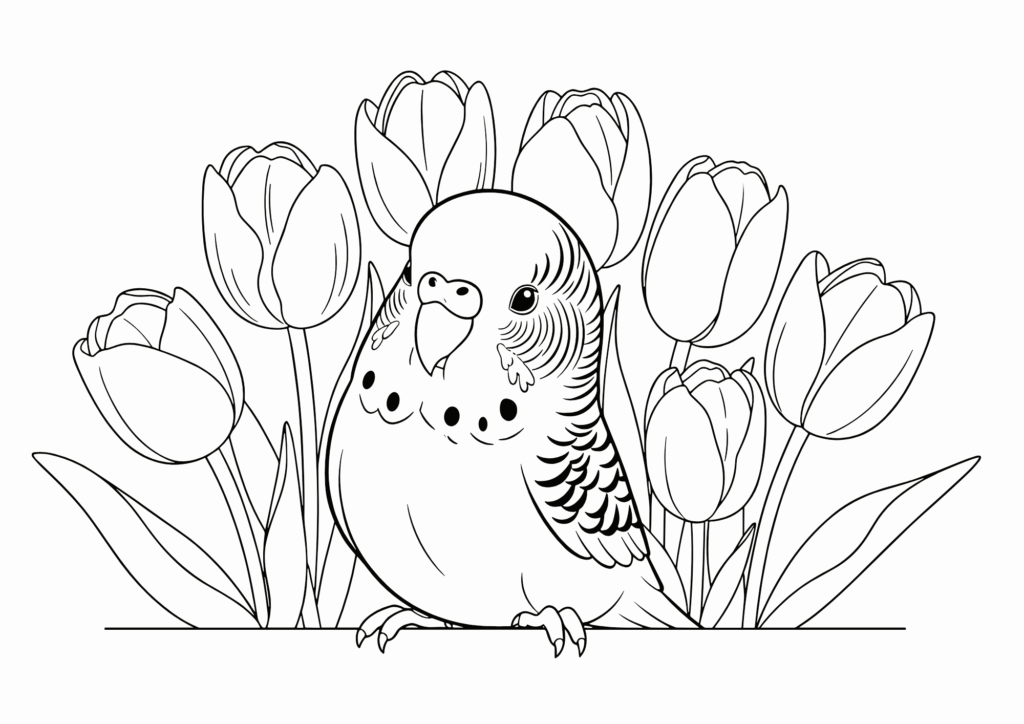 セキセイインコとチューリップの塗り絵イラスト 白黒 無料ダウンロード 印刷用