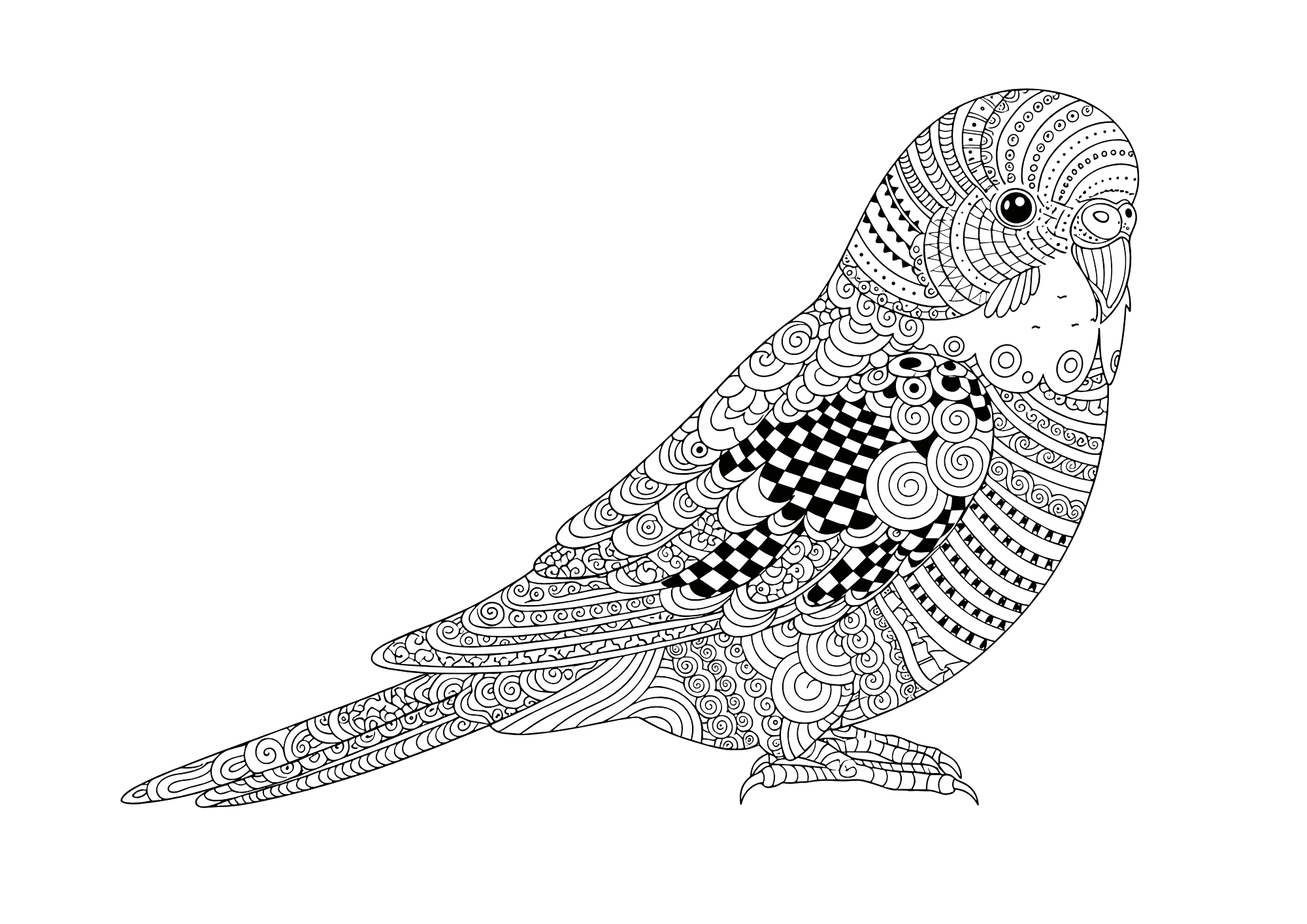 ゼンタングル風セキセイインコの無料ぬりえイラスト｜大人向け｜繊細で美しい線画｜リラックス塗り絵｜ダウンロード