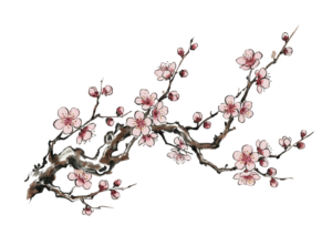 梅の花のイラスト｜無料ダウンロード｜塗り絵イラスト｜フリー画像｜素材